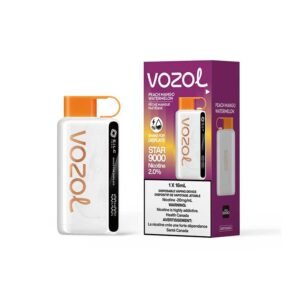 Vozol 9000 Peach Mango Watermelon