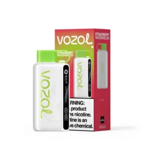 Vozol 9000 Strawberry Watermelon