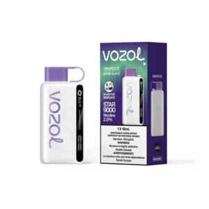 Vozol 9000 Grape Ice